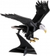 3D Adler