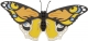 3D Schmetterling bunt